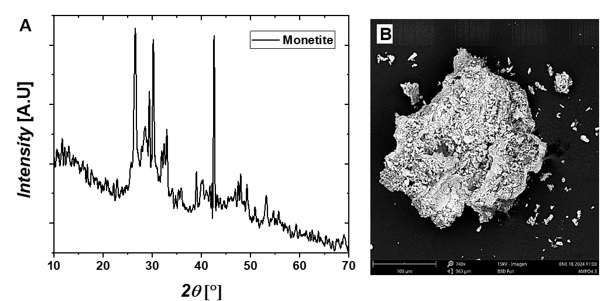 XRD
patterns plot and B. SEM images of the precipitated monetite
at pH 3