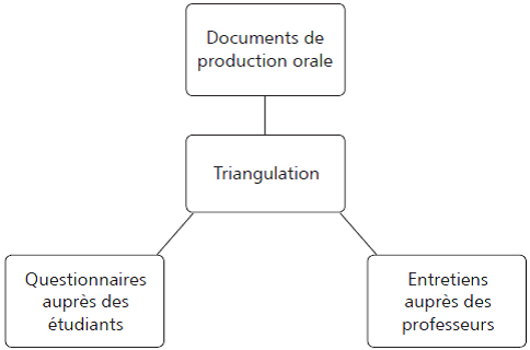 Figure
5 

Triangulation
des données
