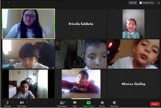 Sesión virtual en pequeño grupo