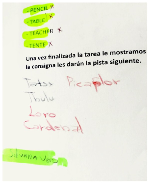 
Respuestas del grupo de las adolescentes mujeres wichi
