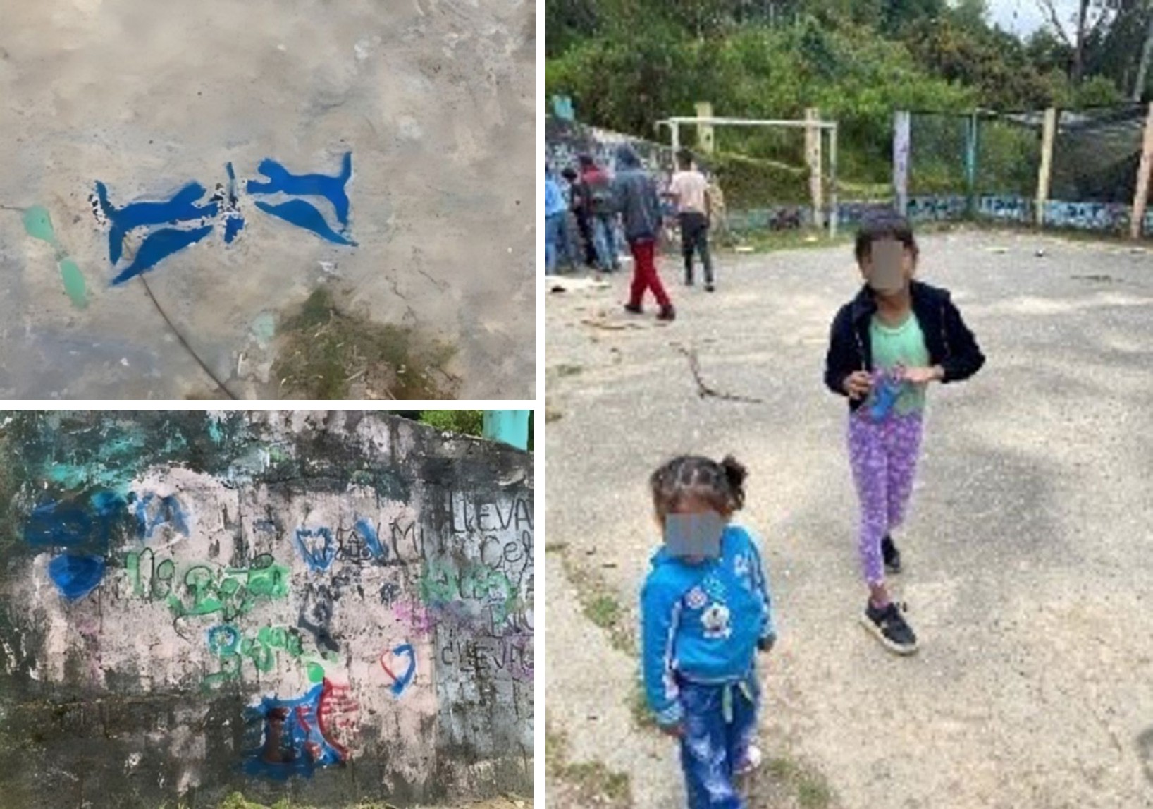 
Grafiti, medio ambiente y territorio
