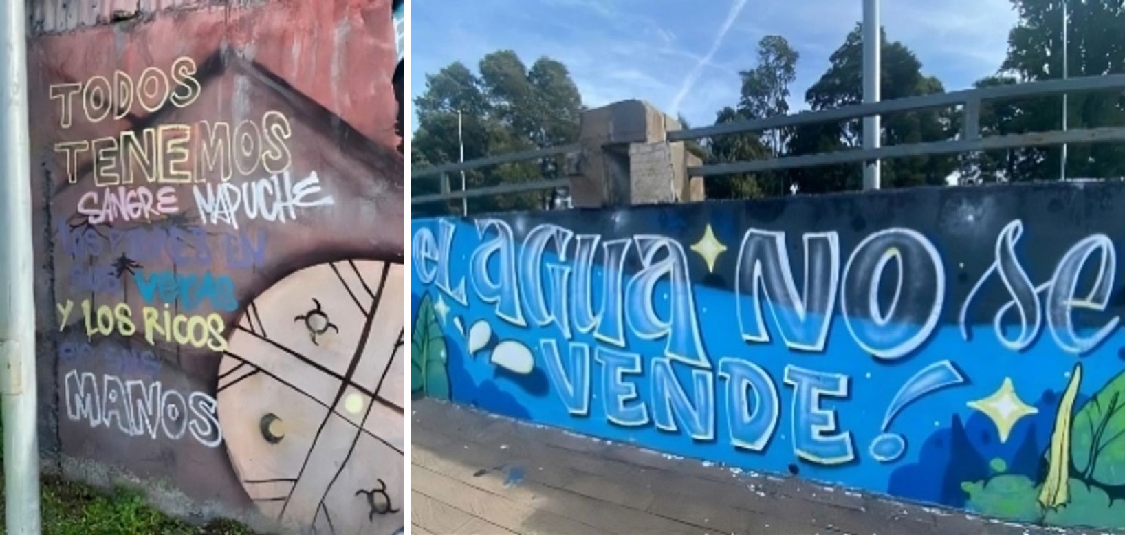 
Grafiti de la Regi&oacute;n Sur de Chile
