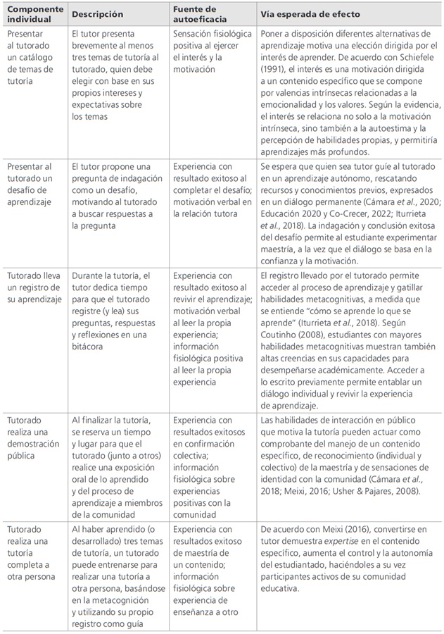
Resumen de v&iacute;as esperadas de efecto de los
componentes individuales de la TEP sobre la autoeficacia acad&eacute;mica del estudiantado
