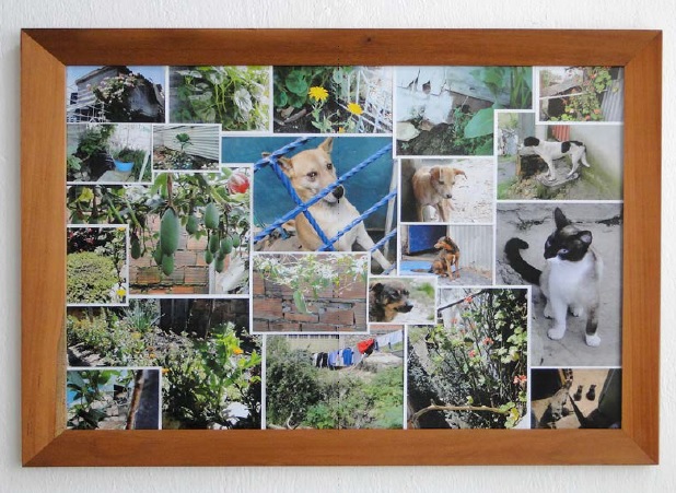  Mi Casa Mi Cuerpo. El atlas fotográfico: “Plantas y animales”.