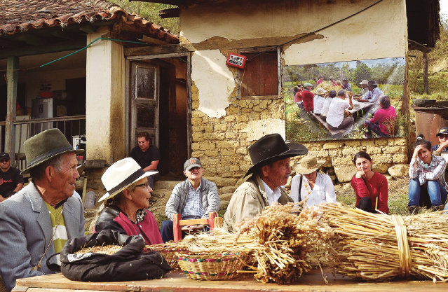 El trigo, tema actual de la cultura rural. 