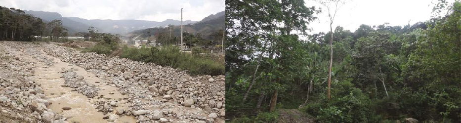 A la izquierda, se evidencia el impacto ambiental que ha causado sequía en sus ríos. A la derecha, imagen de la selva que se acompaña con una narración que legitima la propiedad del territorio al pueblo Shuar, entregados en 1988 a través de títulos de propiedad. (Creación colectiva Etsa-Nantu/ Cámara Shuar 2017).