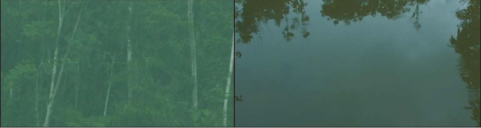 Fotograma de Tsunki. A la izquierda, lluvia persistente sobre la selva. A la derecha, tierra anegada después de las incesantes lluvias provocadas por Tsunki (Etsa-Nantu/CámaraShuar 2014).