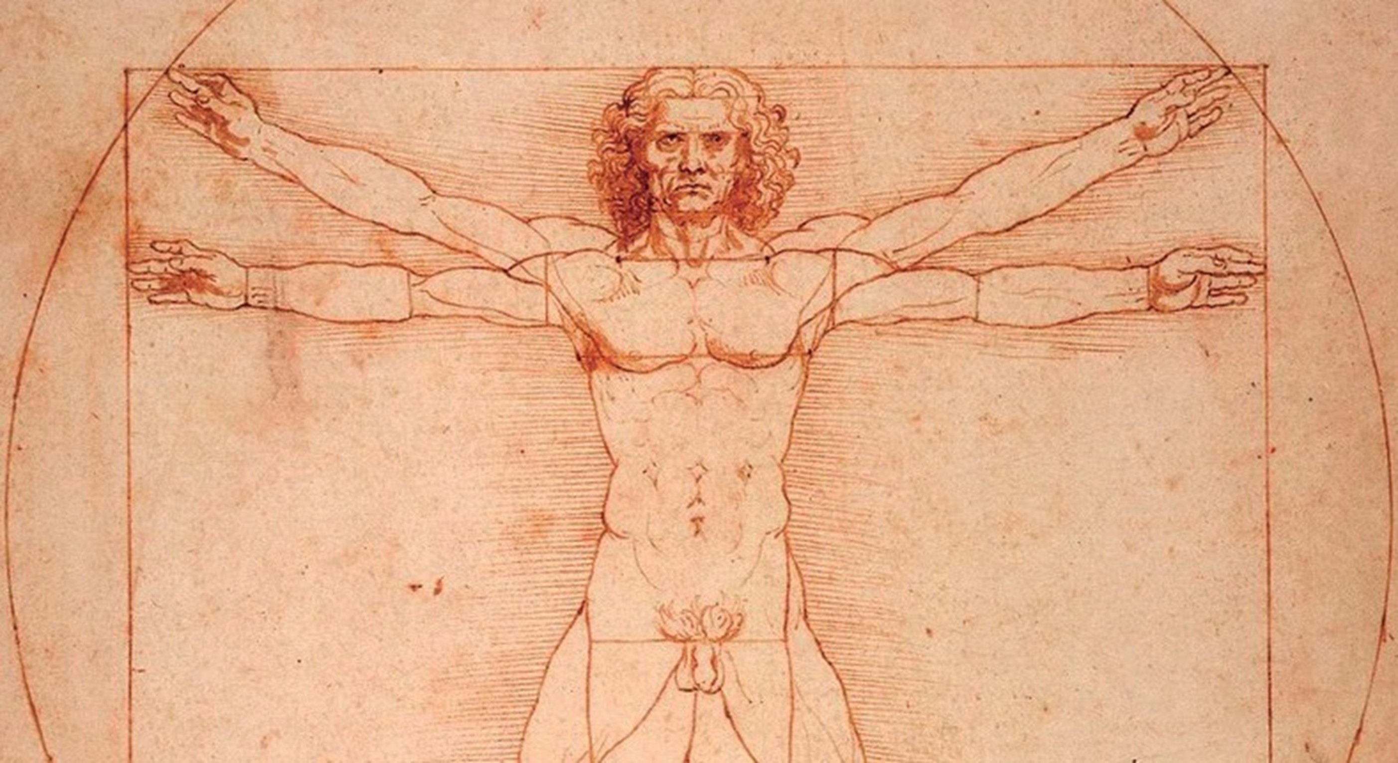 
 Hombre de Vitruvio, Leonardo da Vinci,
1492, dominio público