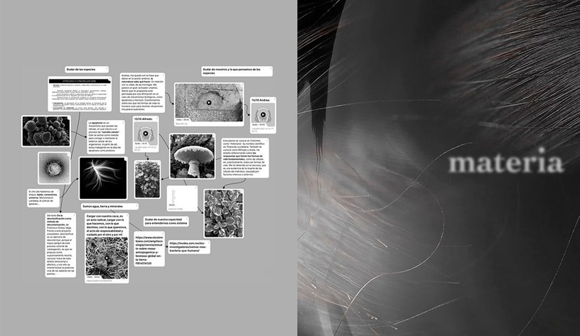 Fragmento de memorias del Laboratorio Biotecnológico, CCESantiago (2021). Ejercicio colaborativo Dwo (Pía Vásquez, Andrea González y Alfredo Gil)