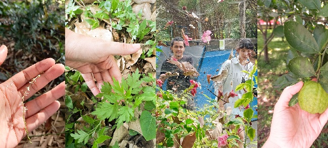  Caminata de reconocimiento 