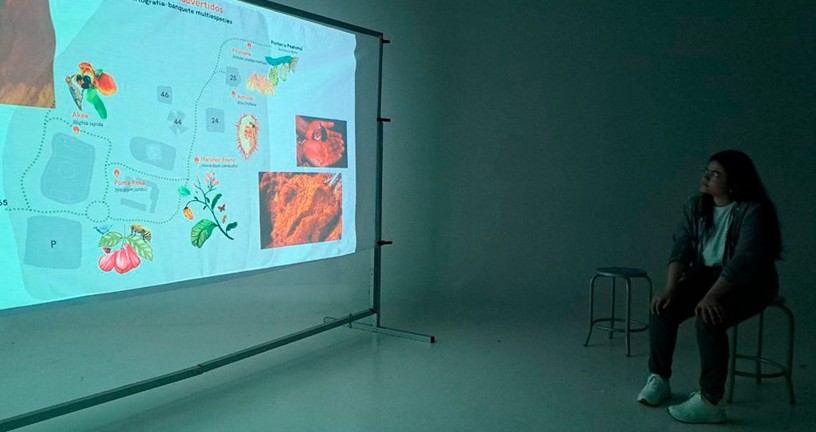  Registro de videoinstalaci&oacute;n monocanal 