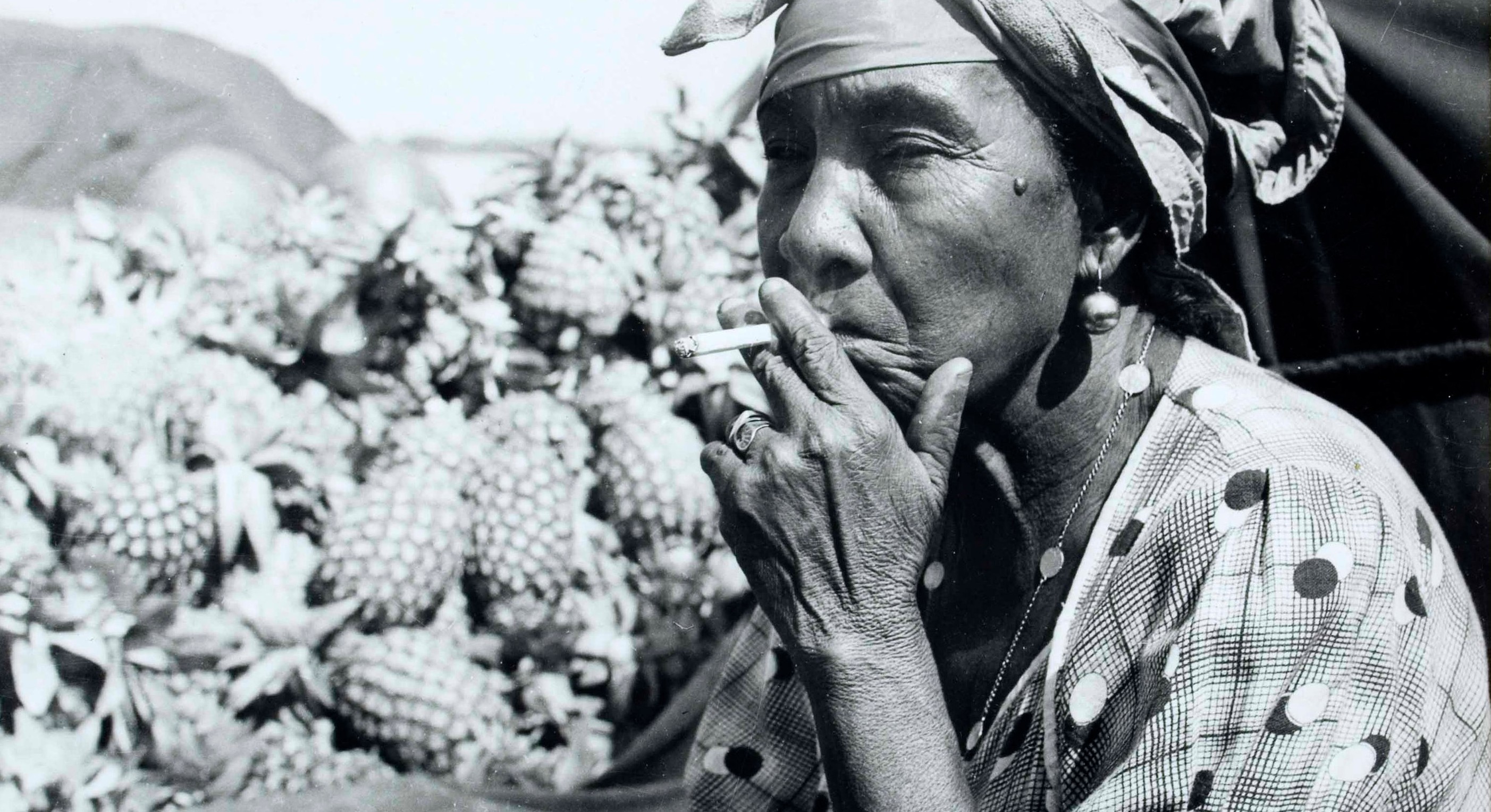 Hermi
Friedmann, Transporte de pi&ntilde;as en el Magdalena, 1960, fotograf&iacute;a en blanco y negro, 17,8 &times; 23,3, 

Colecci&oacute;n
MAMBO.