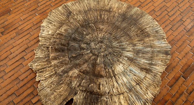 Cecilia Ord&oacute;&ntilde;ez, Este lugar, 1990, cer&aacute;mica, Colecci&oacute;n MAMBO.