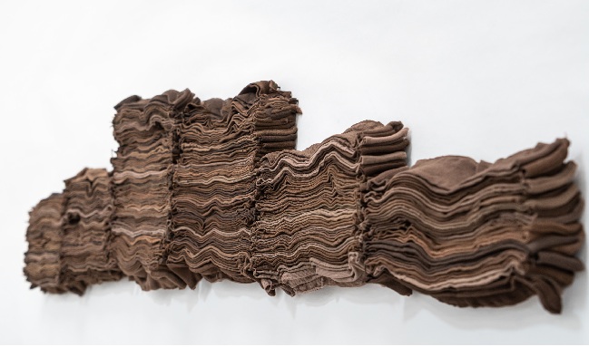  Luz Lizarazo, Disponer
el ablandamiento, 2024, medias veladas y &aacute;gatas. Medidas variables. Colecci&oacute;n
MAMBO. 