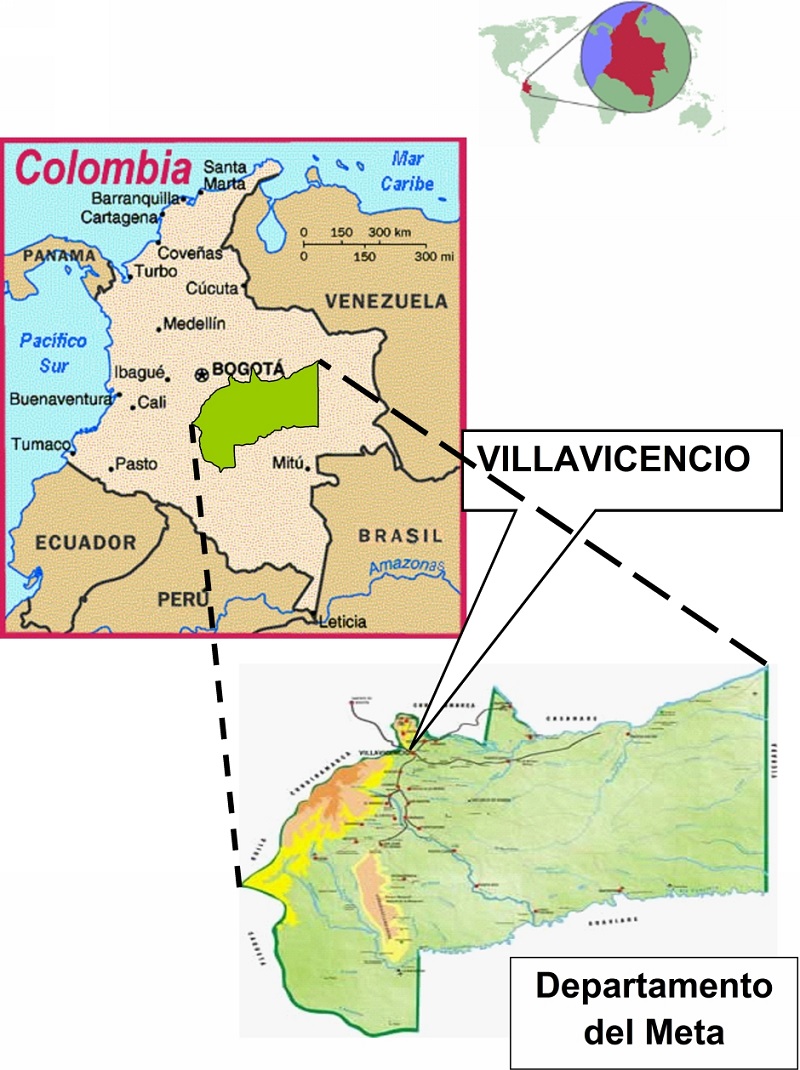 Ubicación del departamento del Meta en Colombia