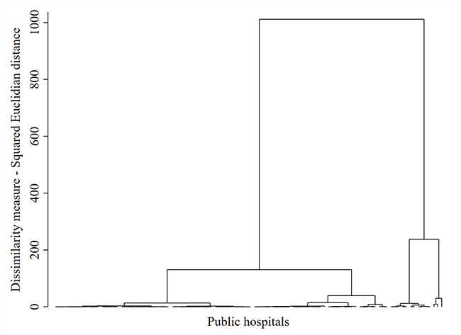 Dendrogram of public hospitals sample