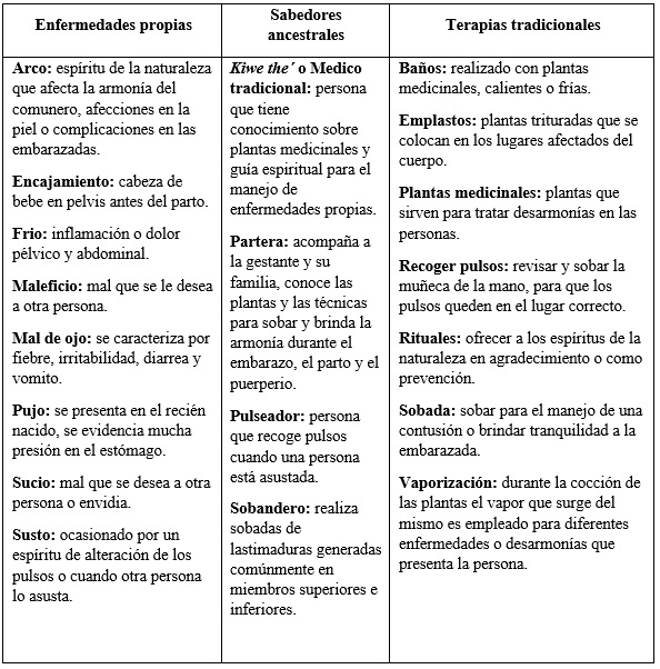 Medicina tradicional indígena. Sistematización de experiencia del Programa intercultural de PSC-I, Jambaló, Cauca, Colombia