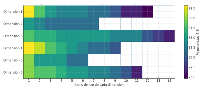  Prioridad y consenso por
cada dimensi&oacute;n y tema (&iacute;tem)