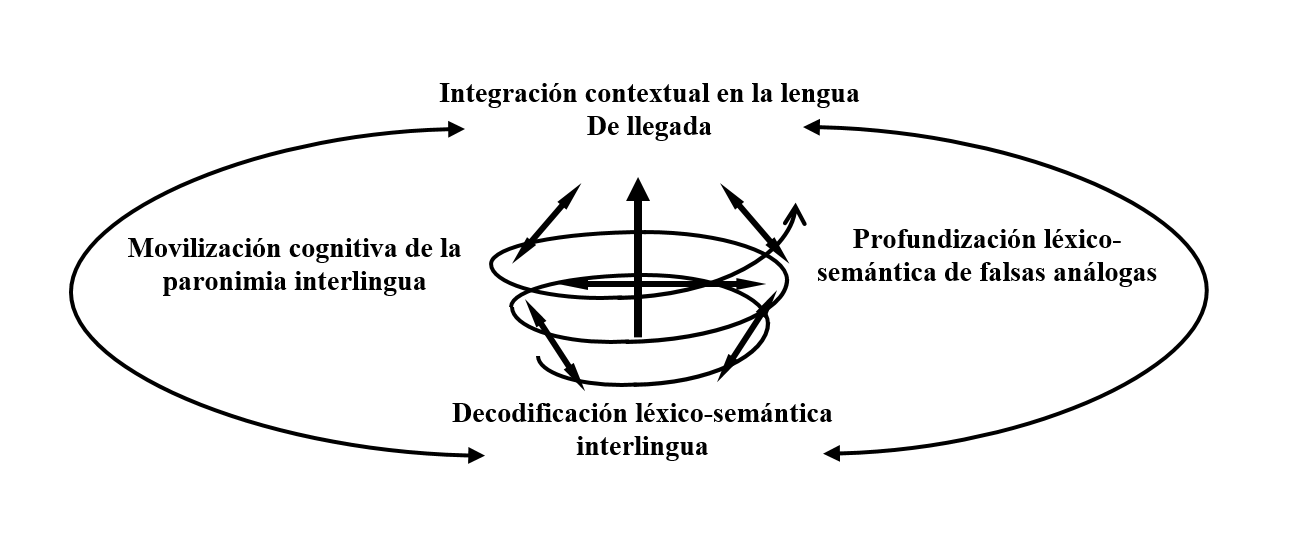 Dimensión lingüístico-cognitiva interlingua