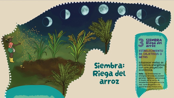  Siembra, riega
del arroz