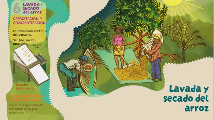 Lavada y
secado del arroz