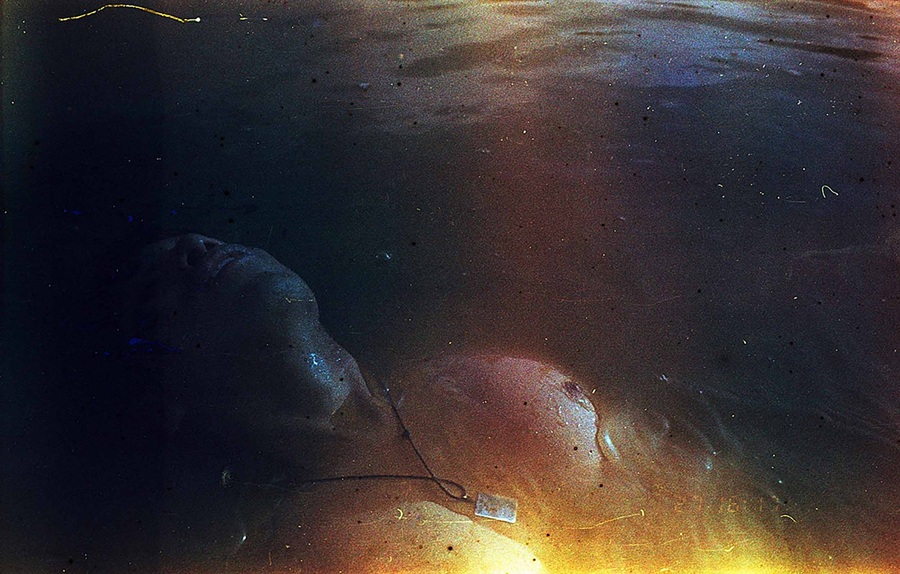 Lagunas
medicinales del distrito de Chilca