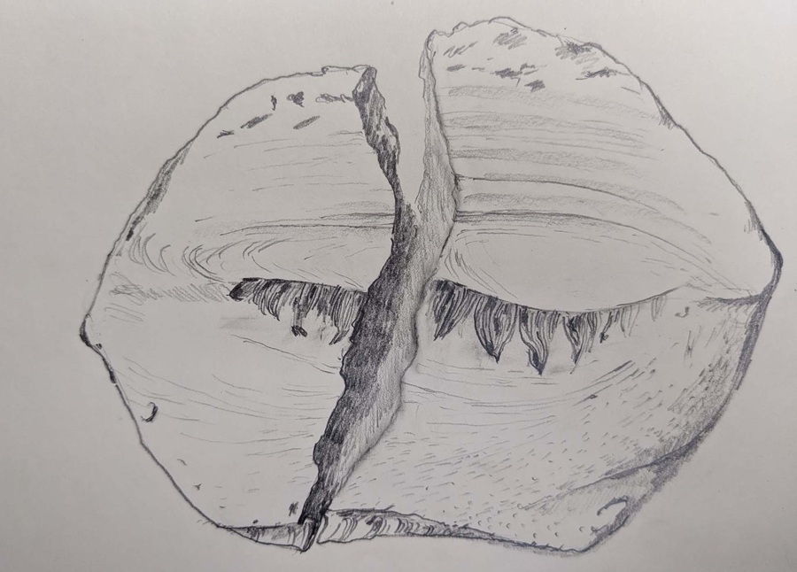 Marcado
por la huella del ojo izquierdo de Atoq