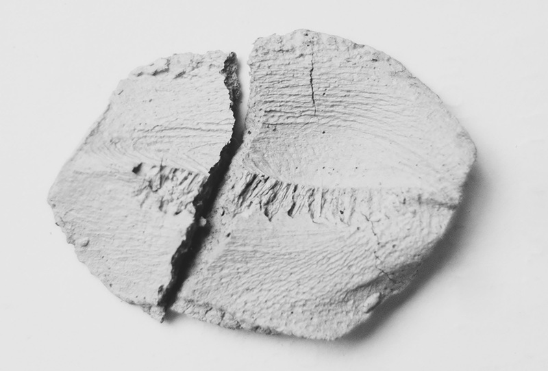 Emplasto
de arcilla medicinal.