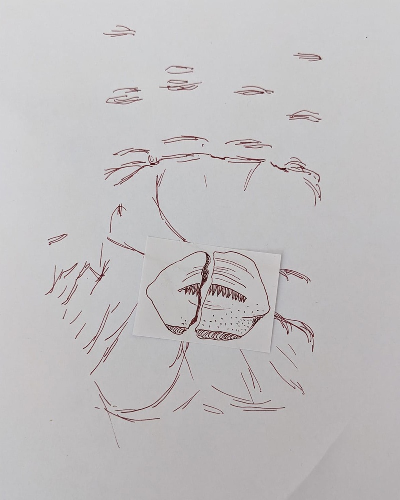 Fragmento
de arcilla sobre los contornos internos de una mano