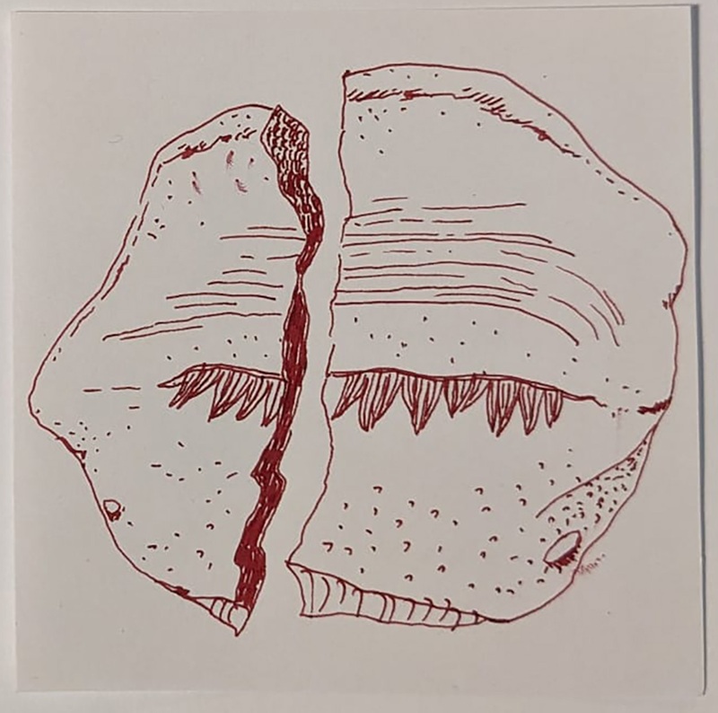 Nueva mirada de la vida y la muerte