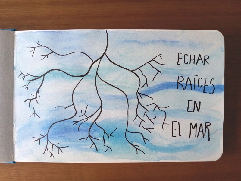 Echar
raíces en el mar