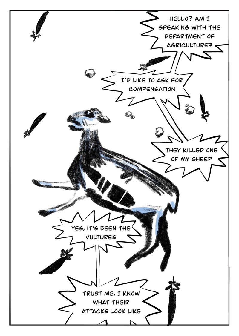 Mataron una de mis ovejas