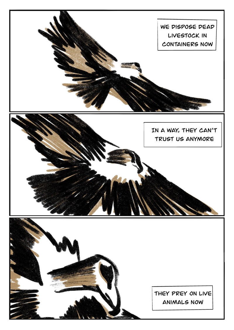 Cazan animales vivos ahora