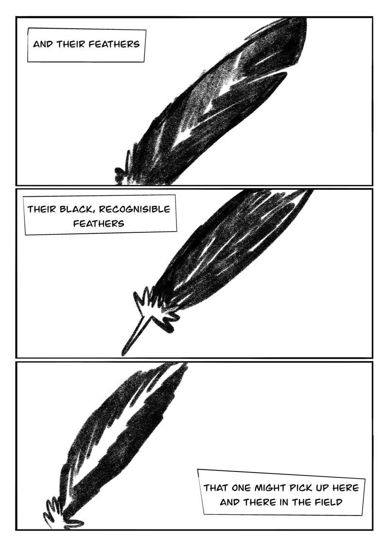 Sus plumas negras, reconocibles