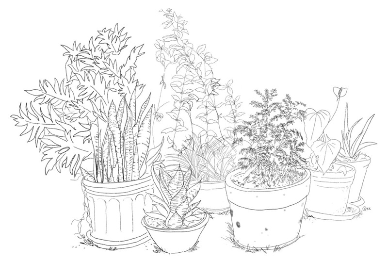 Foto-desenho
a partir de autorretratos das mulheres que se fotografaram para a pesquisa de
Hannah de Vasconcellos (2024) com desenho de Karina Kuschnir