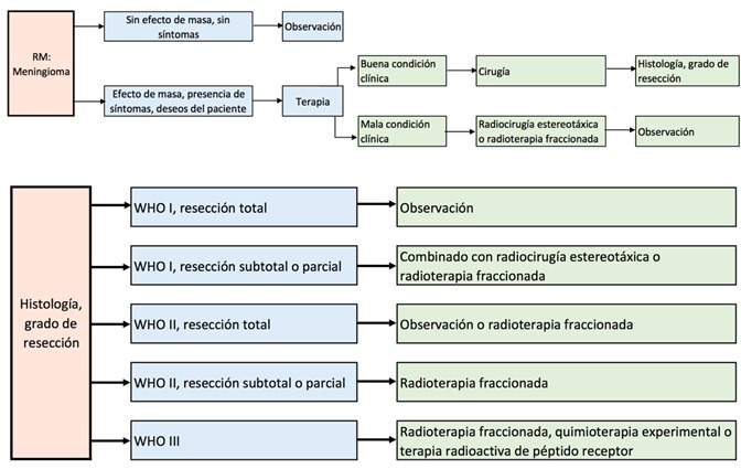 
Recomendación para el manejo terapéutico de los meningiomas
WHO I-III
