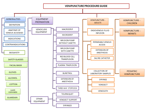 Information Architecture: “Guide for Venipuncture Procedures,” first version.