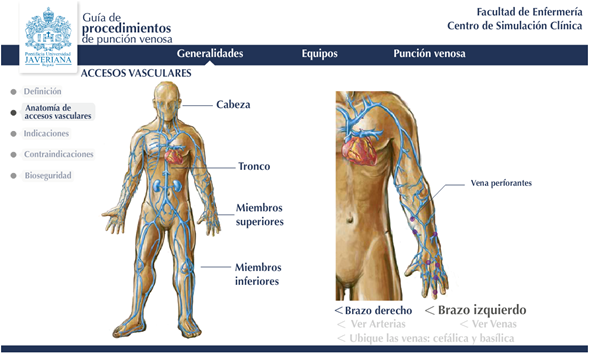 Design
of the graphic interface of the Guide for Venipuncture Procedures
