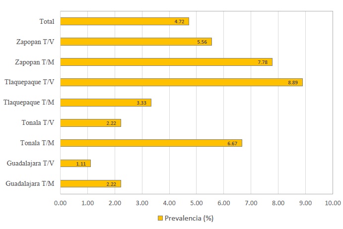 
Point prevalence (%) of students who reported suffering from pediculosis capitis by municipality and shift at the time of applying the survey in the Guadalajara Metropolitan Area
