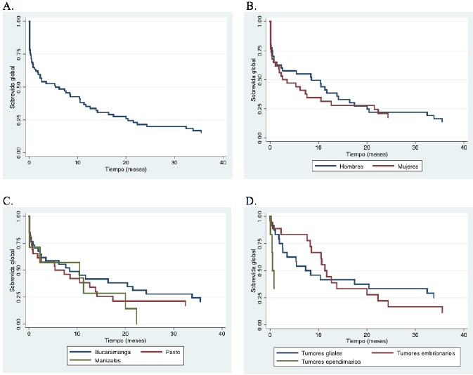 
Curvas de Kaplan-Meier para sobrevidas pediátricas de hasta 3 años. A) Sobrevida global. B) Sobrevida por género. C) Sobrevida por ciudades. D) Sobrevida por histologías más frecuentes
