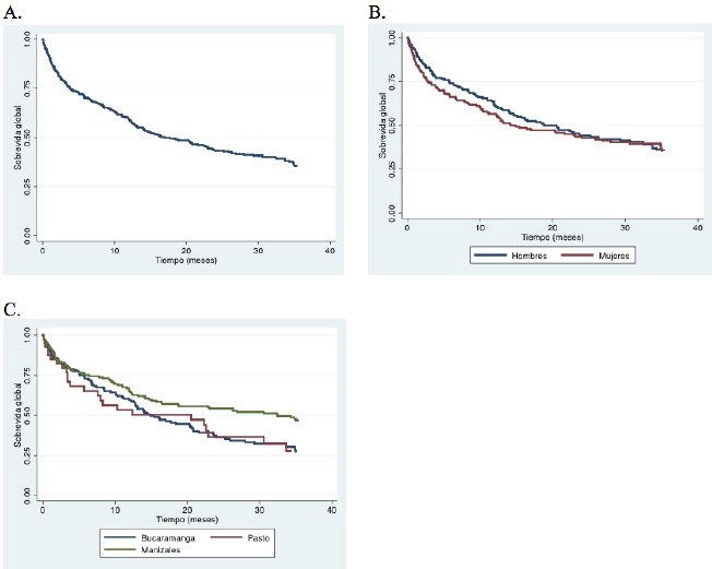 
Curvas de Kaplan-Meier para sobrevidas adultos hasta 3 años. A) Sobrevida global. B) Sobrevida por sexo. C) Sobrevida por ciudades
