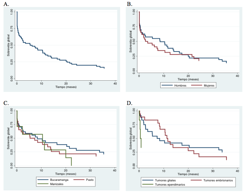 Kaplan-Meier curves for pediatric survival of up to 3 years. A) Overall survival. B) Survival by gender. C) Survival by city. D) Survival by most common histologies