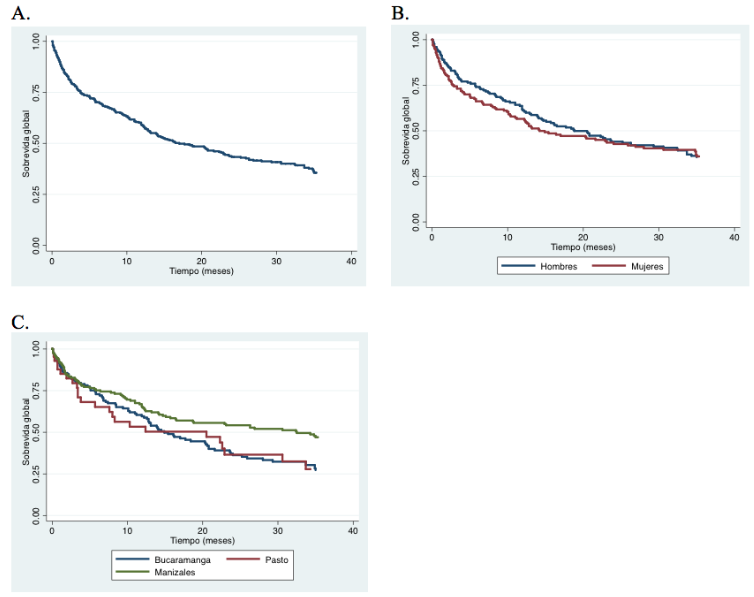 Kaplan-Meier curves for adult survival up to 3 years. A) Overall survival. B) Survival by gender. C) Survival by city