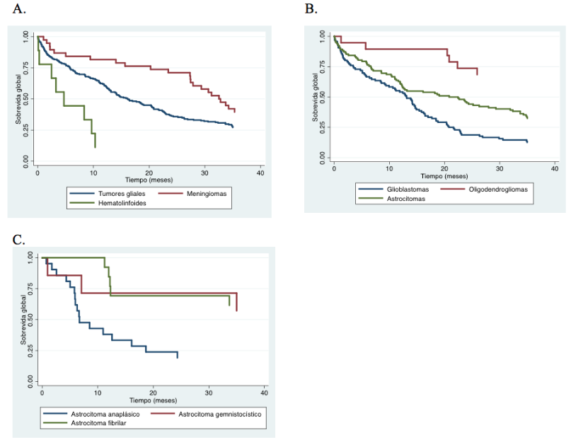 Kaplan-Meier curves for adult survival by histology up to 3 years. A) Survival by most common histologies. B) Survival by glial tumor subtypes C) Survival by astrocytoma subtypes