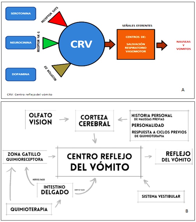Mecanismos para el desarrollo de náusea y vómito de origen farmacológico