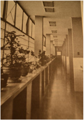 Servicio de Consulta Externa, Hospital Universitario San Ignacio, 1980