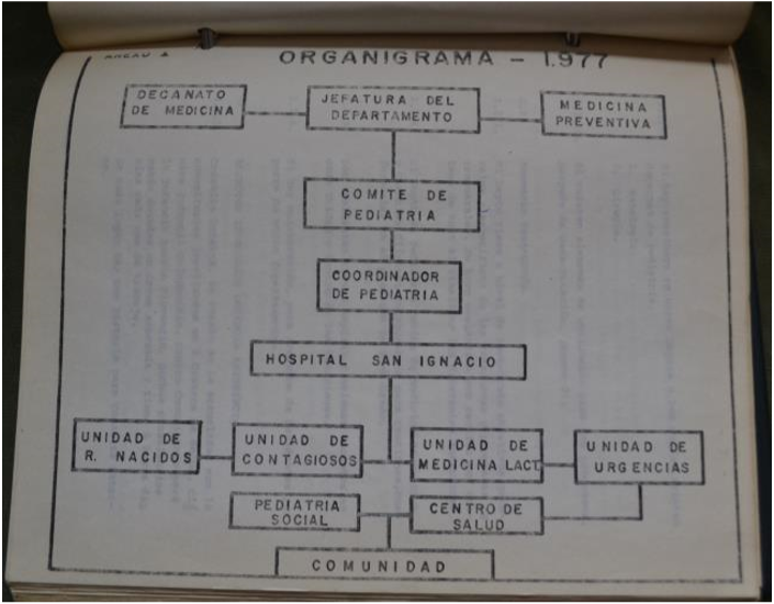 Estructura orgánica del departamento, 1977