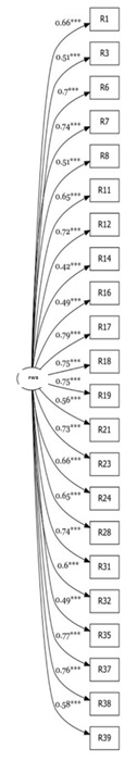 Unidimensional
Model of Ryff’s Psychological Well-Being Scale 

PWB: Psychological Well-Being.