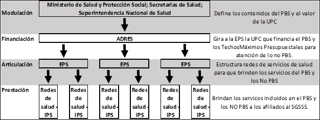 Structure of the SGSSS according to the logic of Structural Pluralism (figure in Spanish)