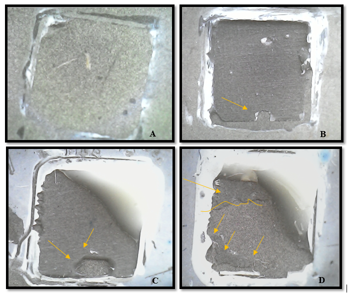 Failure modes: (A) Adhesive failure, no cement remains.
(B) Cohesive failure, the yellow arrow indicates a fractured cement rest. (C)
Cohesive failure, including substrate, the yellow arrow shows the fracture of
the cement. (D) Mixed failure, where yellow arrows show the remains of
fractured cement. Photomicrographs with an optical microscope, 50x
magnification.